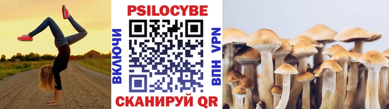 Галлюциногенные грибы Psilocybe  сколько стоит  нарко площадка официальный сайт  Райчихинск  kraken сайт 